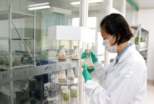 食品卫生与营养学专业 国家健康医疗服务行业的新兴翘楚——营养健康咨询服务发展路径探析