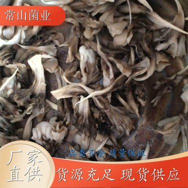 灰树花价格